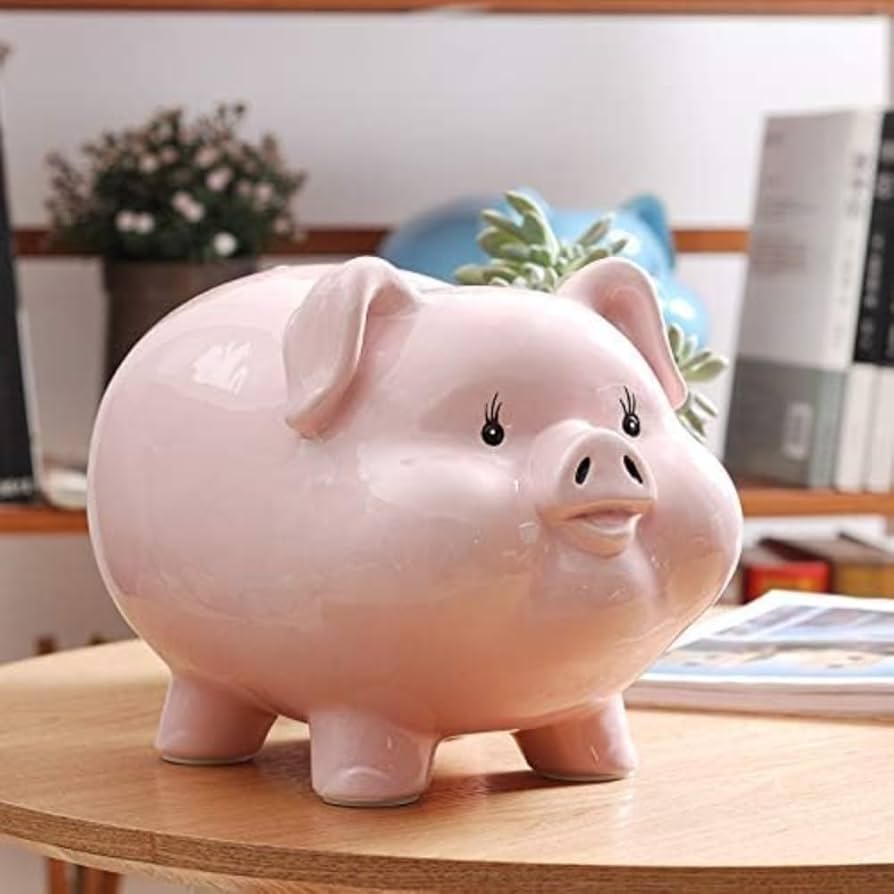 Amazon.co.jp: 貯金箱 あけられない 豚 500円玉 札 硬貨 陶磁器